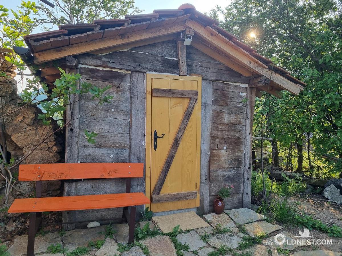 The Old Nest Hotel Madzsarovo Kültér fotó